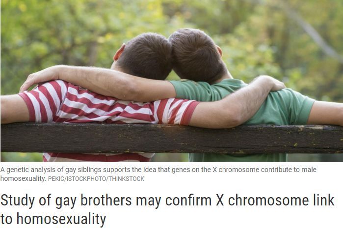研究26890例同性恋后，哈佛医学院竟得出这个结论……