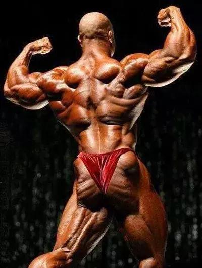 菲尔·希斯一周五练健身计划,带你看看健美巨匠如何练!