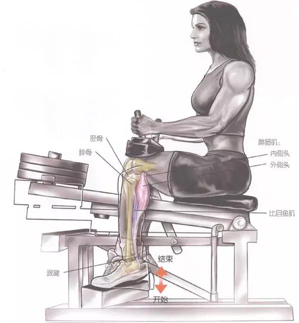 提踵训练,打造小腿肌肉还得靠它!