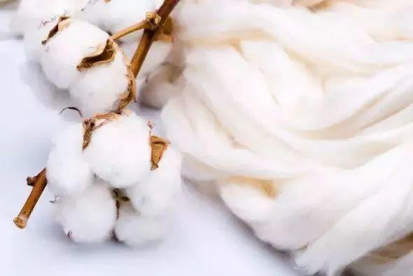 男人二十五岁以后,该学会像女人挑内衣一样挑衬衫!