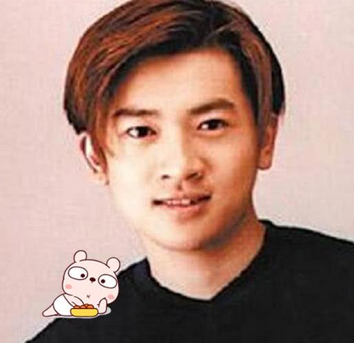 苏有朋只不过烫了“羊毛卷”,颜值就回到巅峰,乖乖虎又回来了!