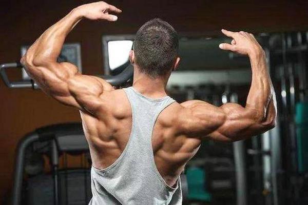 做好这个训练动作,助你的后背持续变厚