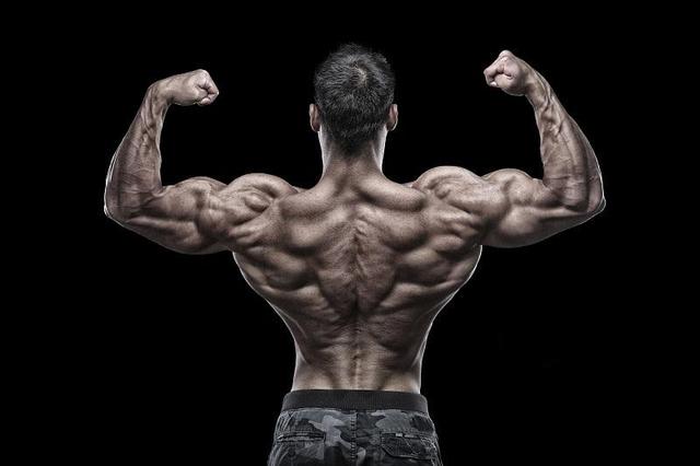 了解肌肉增长的原理!科学增强充血感,增肌更高效