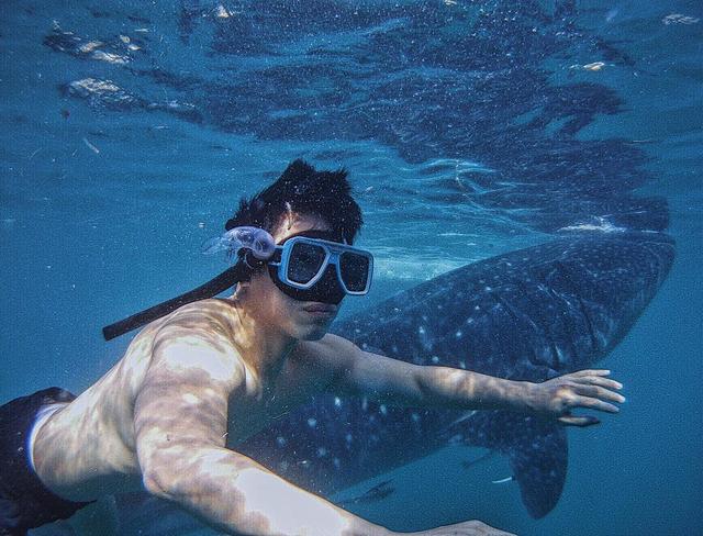 天菜小哥哥,红遍亚洲,会是你心目中的白马王子吗?