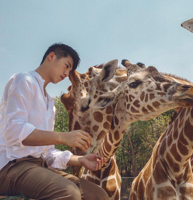 天菜小哥哥,红遍亚洲,会是你心目中的白马王子吗?