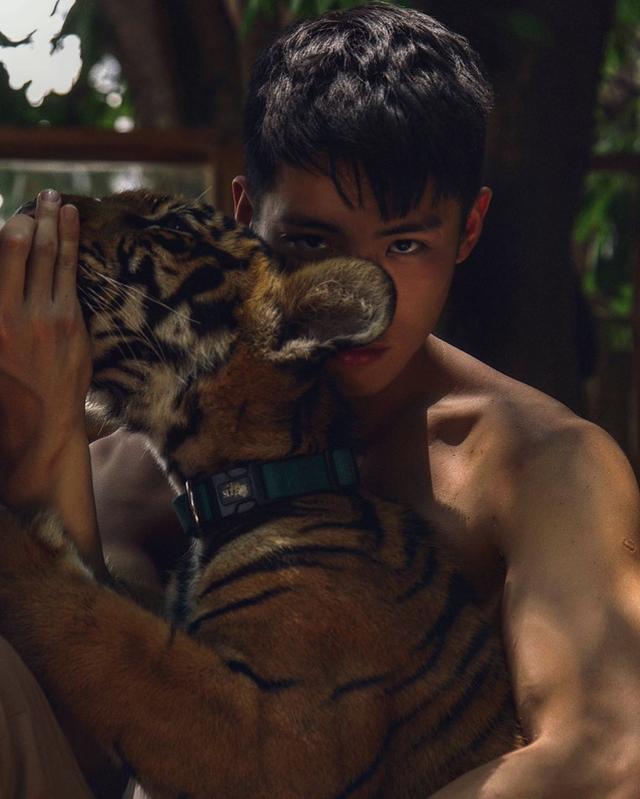 天菜小哥哥,红遍亚洲,会是你心目中的白马王子吗?