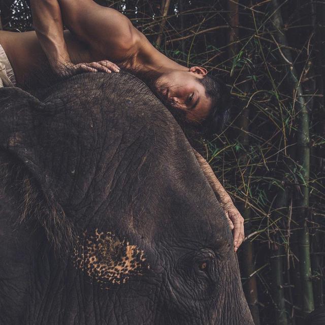 天菜小哥哥,红遍亚洲,会是你心目中的白马王子吗?