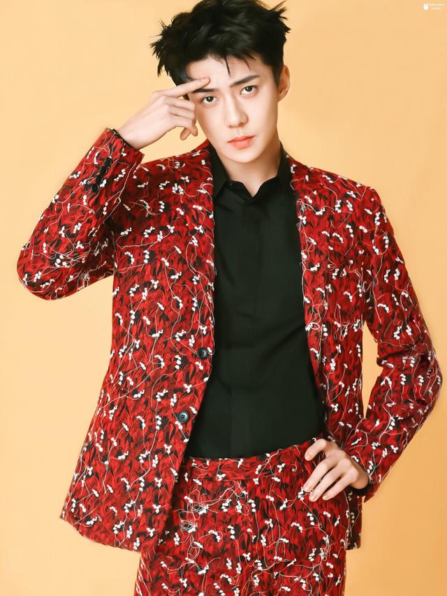 世界最帅百名帅哥,我来告诉你:肖战、十国混血儿米勒、阿兰德隆