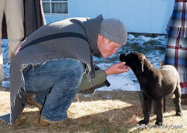 年轻的威廉和哈里王子帅炸!撞脸罗伯特·帕丁森和贾斯汀·比伯