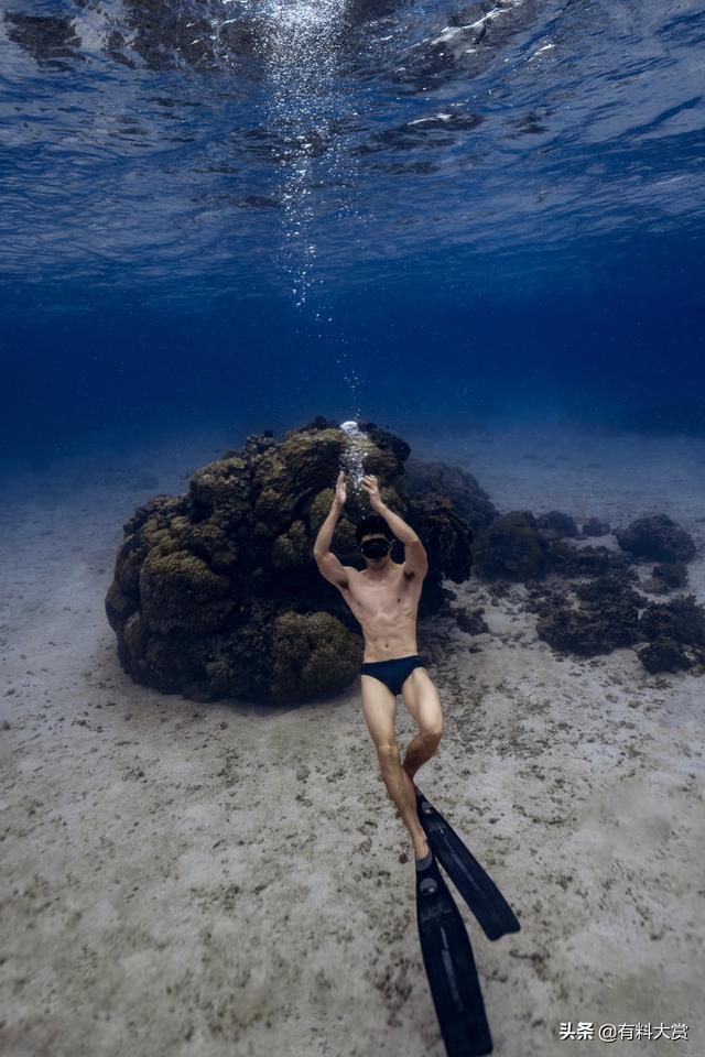 型男大赏II 带你潜入海底的肌肉帅人鱼愿意了解一下吗?