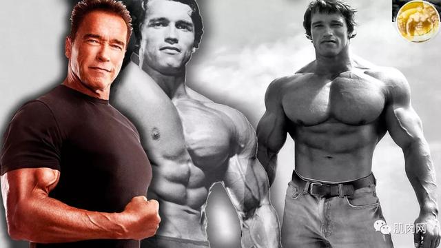 国内媒体眼中的肌肉男!!!