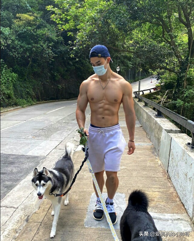 86年港姐亚军吴婉芳因二儿子登上热搜,高大健体,才貌出众!