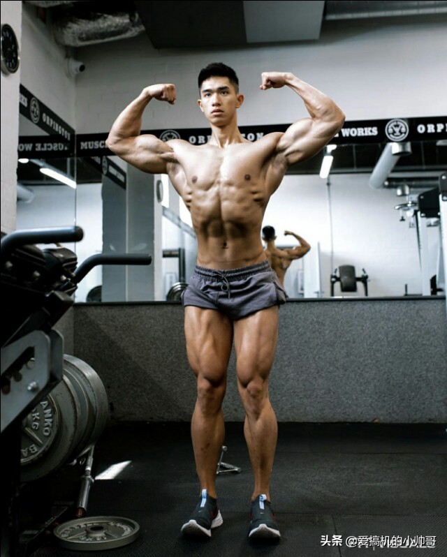 86年港姐亚军吴婉芳因二儿子登上热搜,高大健体,才貌出众!