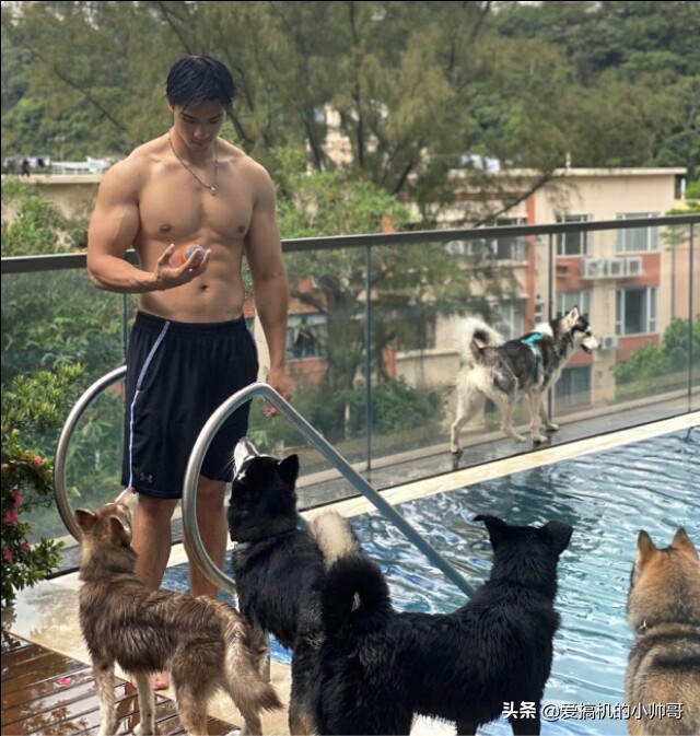 86年港姐亚军吴婉芳因二儿子登上热搜,高大健体,才貌出众!