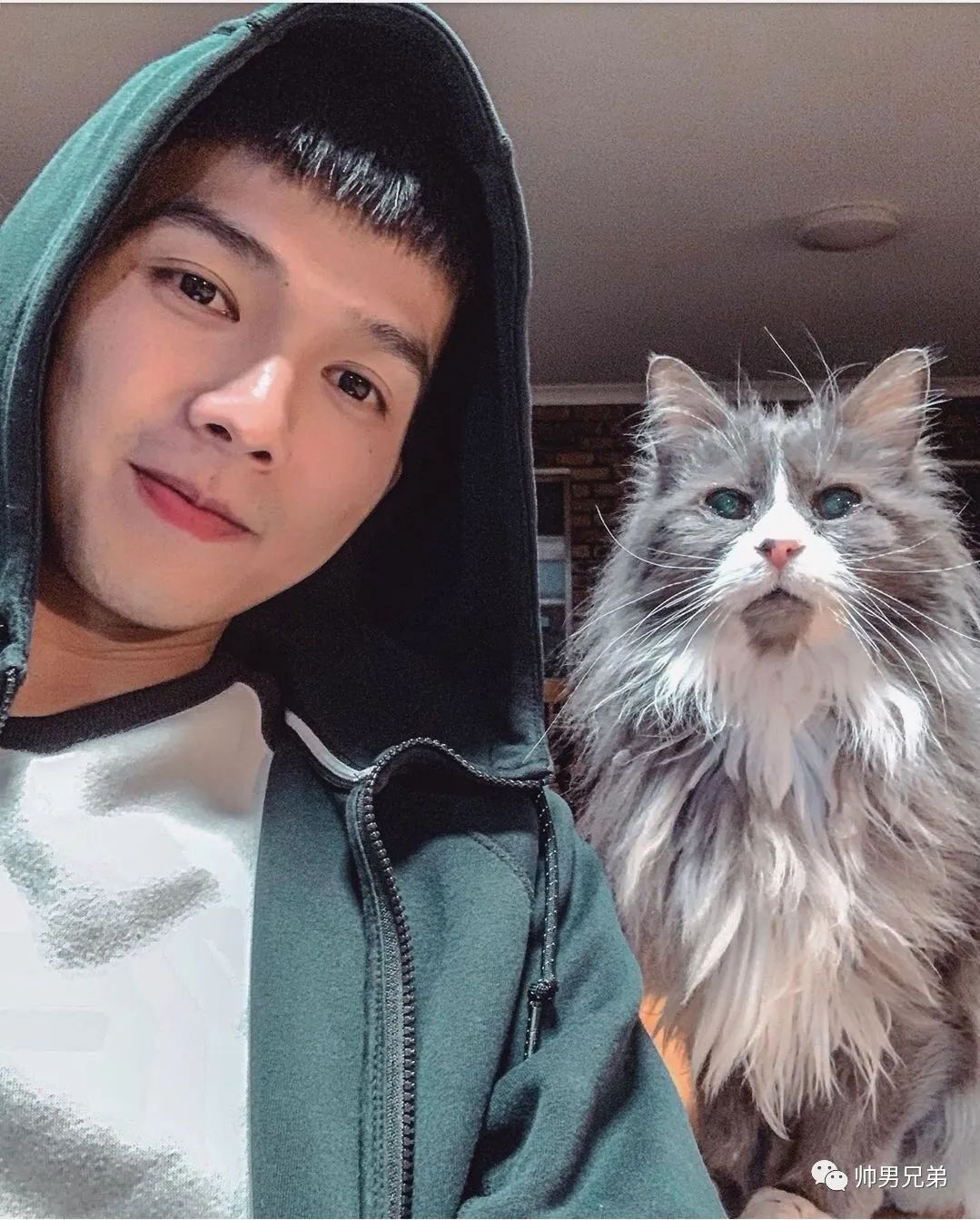 寸头俊朗帅小伙,萌帅型遛狗大男孩